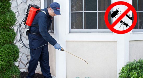 Vakfıkebir Sivrisinek İlaçlama böcek ilaçlama ve haşere kontrolü — ilaclama-tr.com